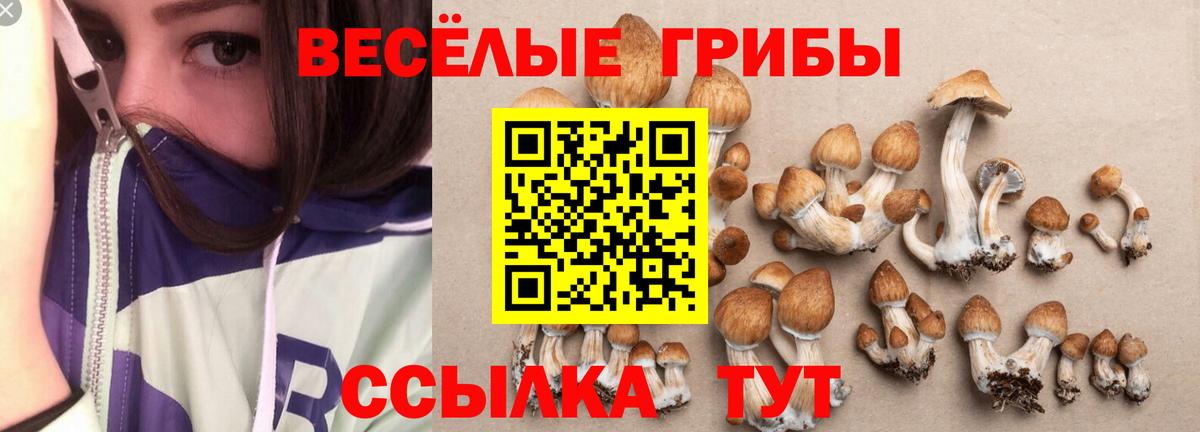 где можно купить наркотик  Псилоцибиновые грибы прущие грибы  Вход с VPN  Дюртюли 